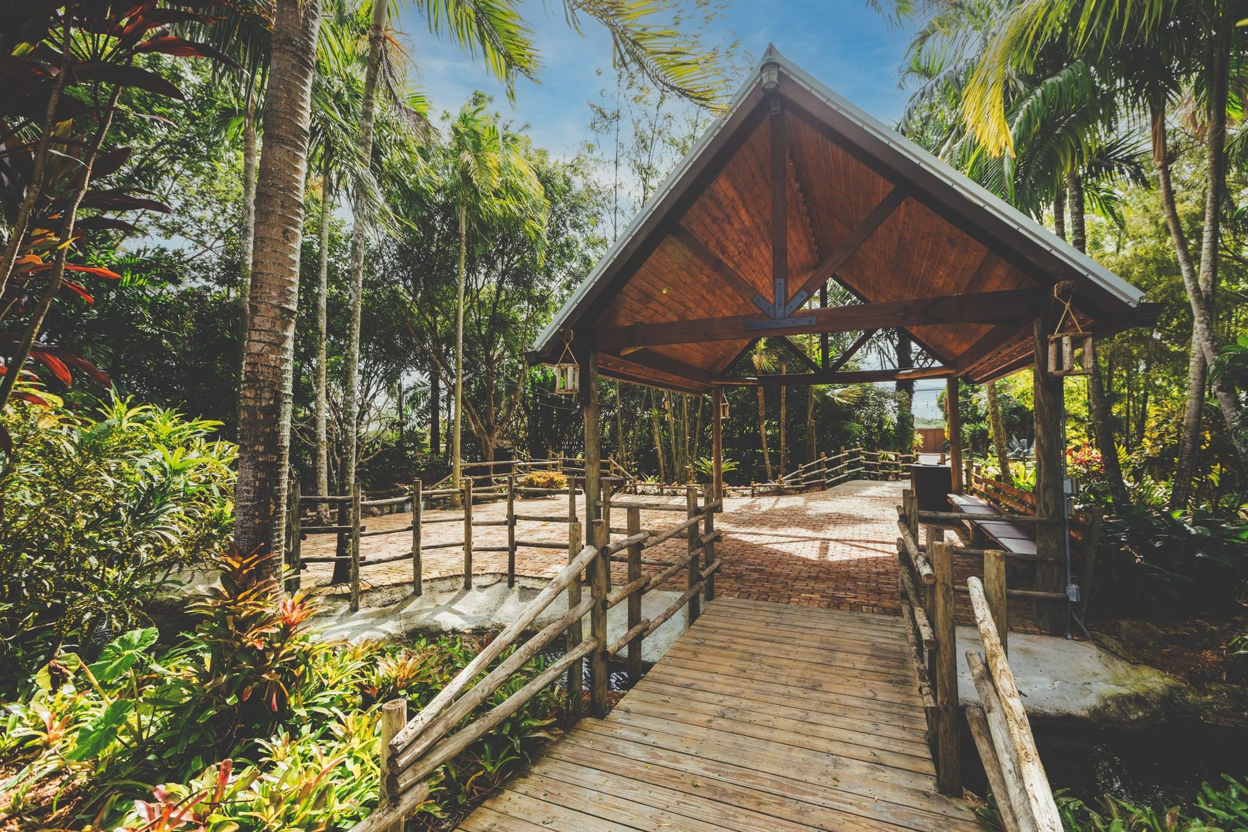 A covered garden walkway surrounded by palms and tropical landscaping at The Arbor Estate